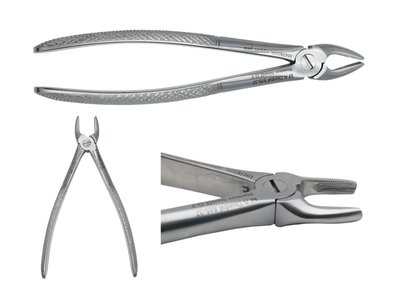 Kleště řezákové, horní