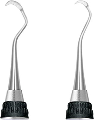 Sichel-Scaler Taylor