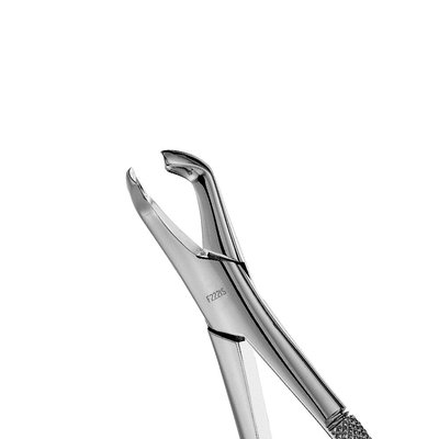 Forceps Atlas, Lower Molar