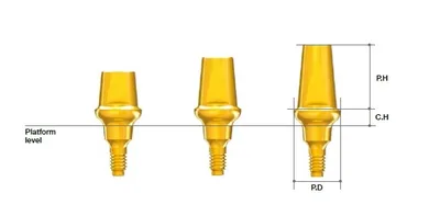 MEGAGEN AR Solid Abutment ø7.0 - CH=2, PH=5.5