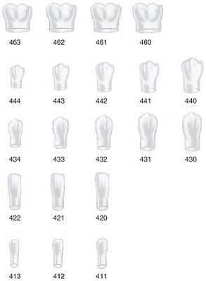 Strip Crowns pravé dolné 411