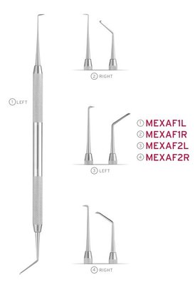 Explorer Endo Microsurgical #1 Al-Fouzan, left