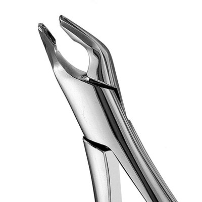 Forceps #151, Apical, universal, inferior