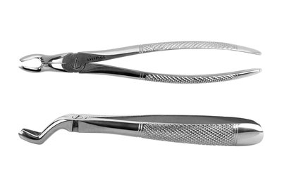 Kleszcze Berten fig. 67R górny ząb mądrości