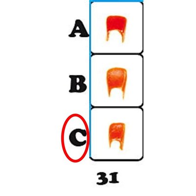 Náhled 2