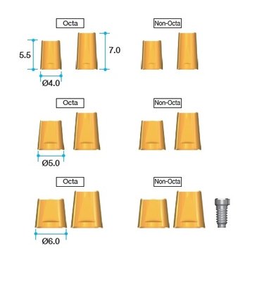 MEGAGEN AR, BD EZ Post Cylinder ø4.0 - P=7.0 Octa