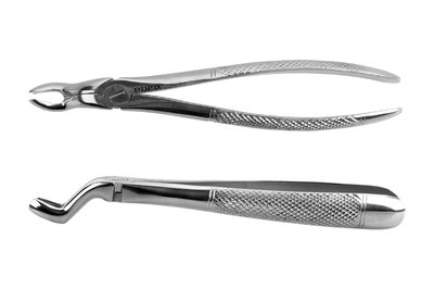 Kleszcze Berten fig. 67L górny ząb mądrości