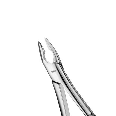 Forceps Atlas, Apical, Upper Anterior