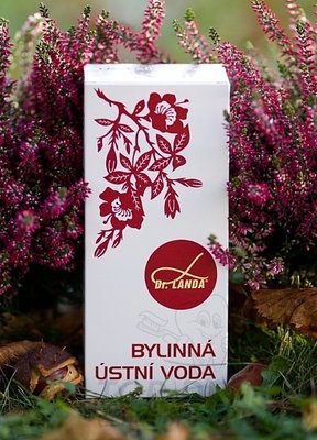 Bylinná ústní voda Dr. Landy, 2x250ml