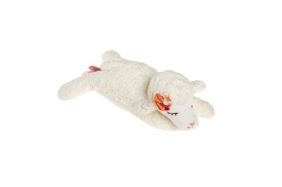 Kikadu hrající beránek