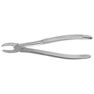 Forceps #1 Europ. SM anterior, EU