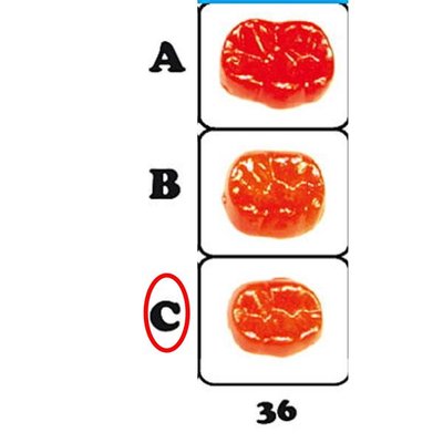 Kousaci plosky cervene 12.6452 C36