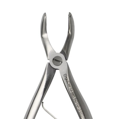 Kleště č.3 horní molárové