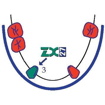 Náhled 10