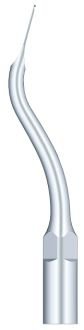 Woodpecker Tip G11 (EMS)