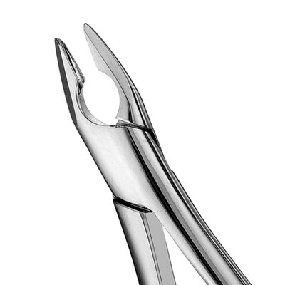 Forceps apical #1 anterior, superior