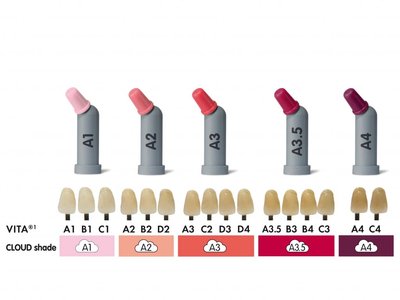 Neo Spectra ST Shade Guide