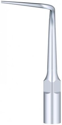 Woodpecker Tip P53L (EMS)
