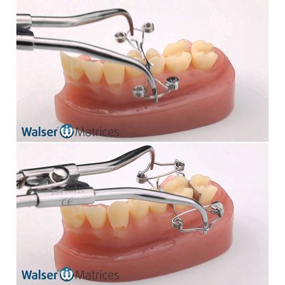 Walser Matrice - č. 5