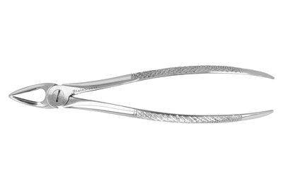 Kleszcze Berten fig. 30 górne korzenie