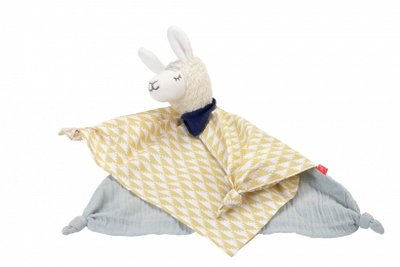 Kikadu muchláček lama, modrá