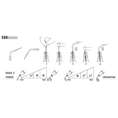 Woodpecker DTE hrot Endo ED60