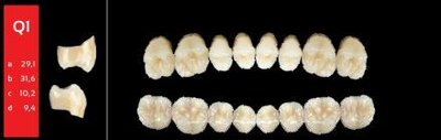Ref-Line Posterior C2 Q1 dolní zuby