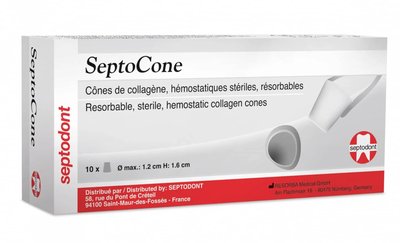 S Septocone 10 stożków sterylnych