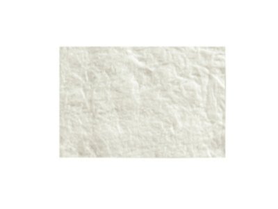 Cytoplast ™ RTM 2ks/bal. 20 mm x 30 mm kolagen membrána