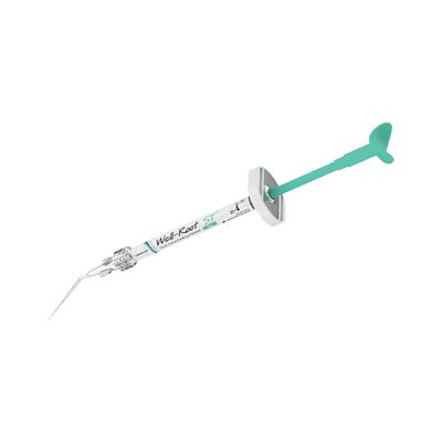 Well-Root ST Biokeramický sealer 2g typ C