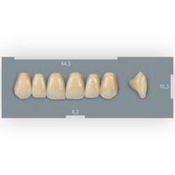 Vita zuby MFT 4M2 R45 (A4) přední horní 6ks