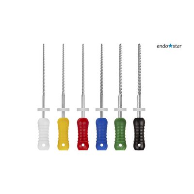 Endostar H-File 45-80 assort.25mm