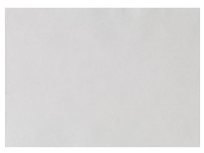 EURONDA Monoart Papírové podložky na tácy 250ks 280x180mm, bílé (205002)