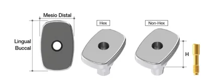 MEGAGEN AR Healing Abutment Molar - M=6 / L=7 / H=4 Hex