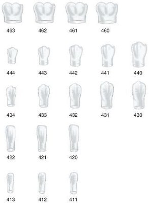 Strip Crowns korunky pravé dolní 420