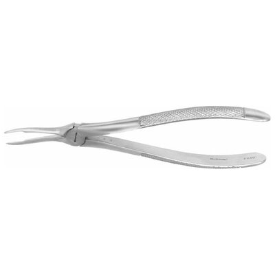 Forceps #49 Europ. SM Roots, EU