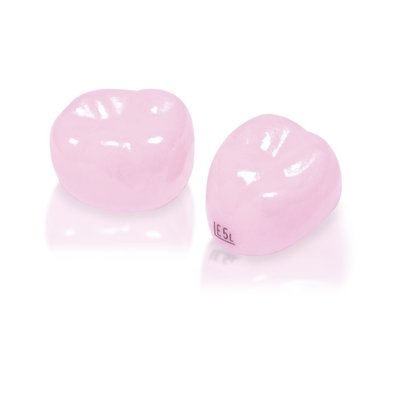 NuSmile ZR Try-In Second Primary Molar Kit