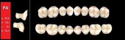 Ref-Line Posterior BL1 F4 horní zuby