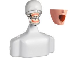 103152 - Dental-Übungsgerät P-6/3 TSE