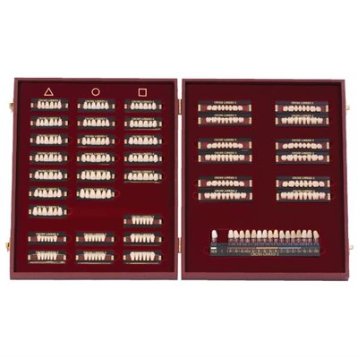 Cross Linked 1x28 02-I3-T2 D3