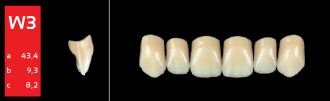 Ref-Line Anterior A2 W3