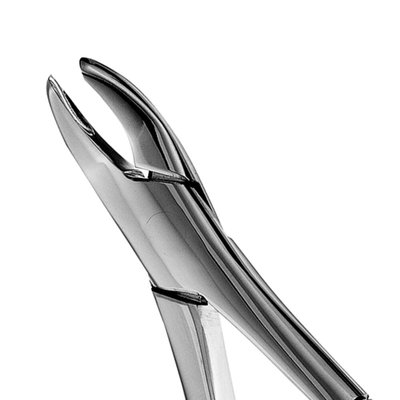 Forceps #62 SM anterior