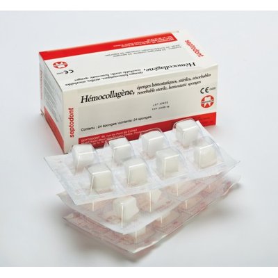 HEMOCOLAGENE 24 houbiček