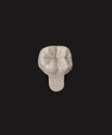 Gnathoflex Premium 46B 1ks