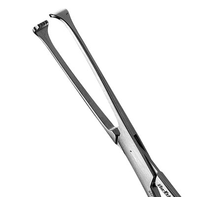 Tissue Forceps Allison, 15,5cm, straight