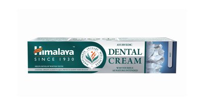 Himalaya Herbals Ayurvedic Dental Cream Salt zubní pasta 100 g