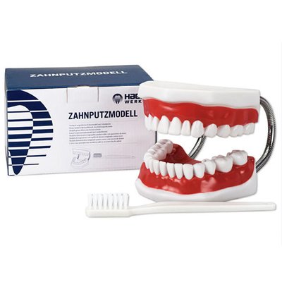 Model chrupu pro demonstraci - 1 ks