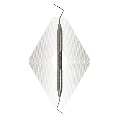 Sonda William + Explorer Holst