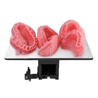 Flexcera Base, Original Pink (for D4K Pro Dental)