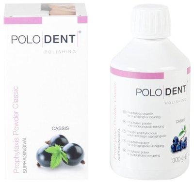 POLODENT Prophylaxis Powder Classic černý rybíz